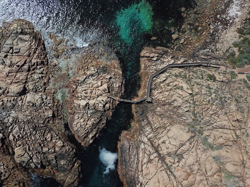 fallen tree across deep gorge