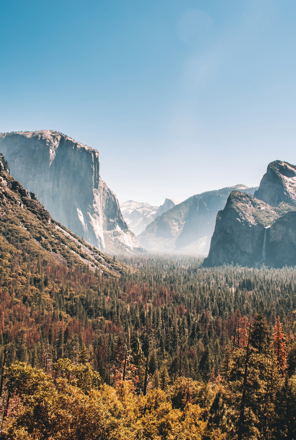 trees near mountains during daytime landscape photo