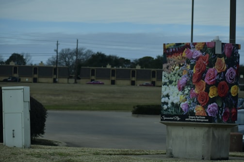 A landscape with a large advertising board prominently displaying a colorful bouquet of roses in various colors including red, pink, yellow, and orange. The background consists of a grassy area, a road, and a row of buildings in the distance. The sky is overcast, contributing to a dim lighting.