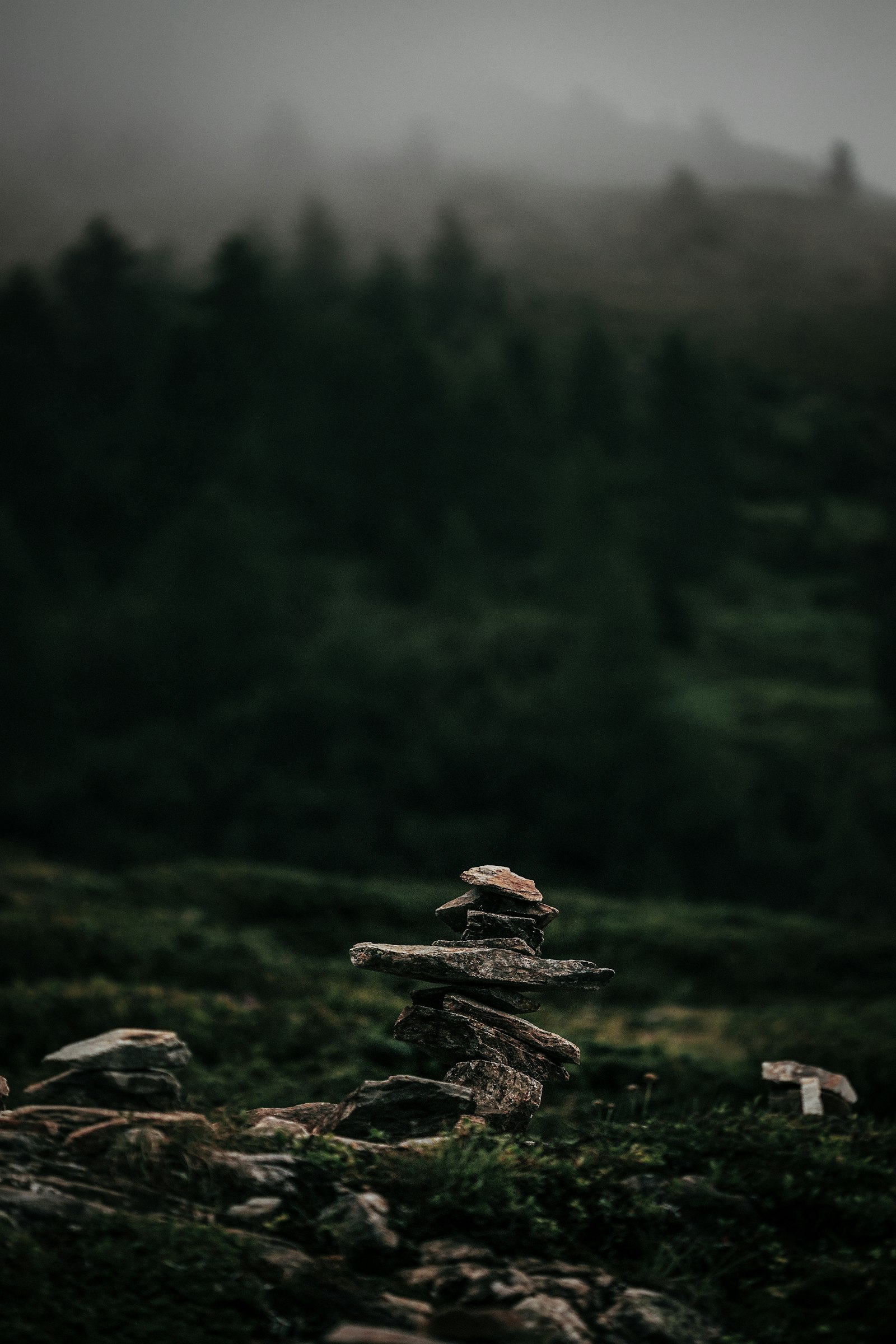 Canon EF 100mm F2.8 Macro USM sample photo. Stone pile during daytime photography