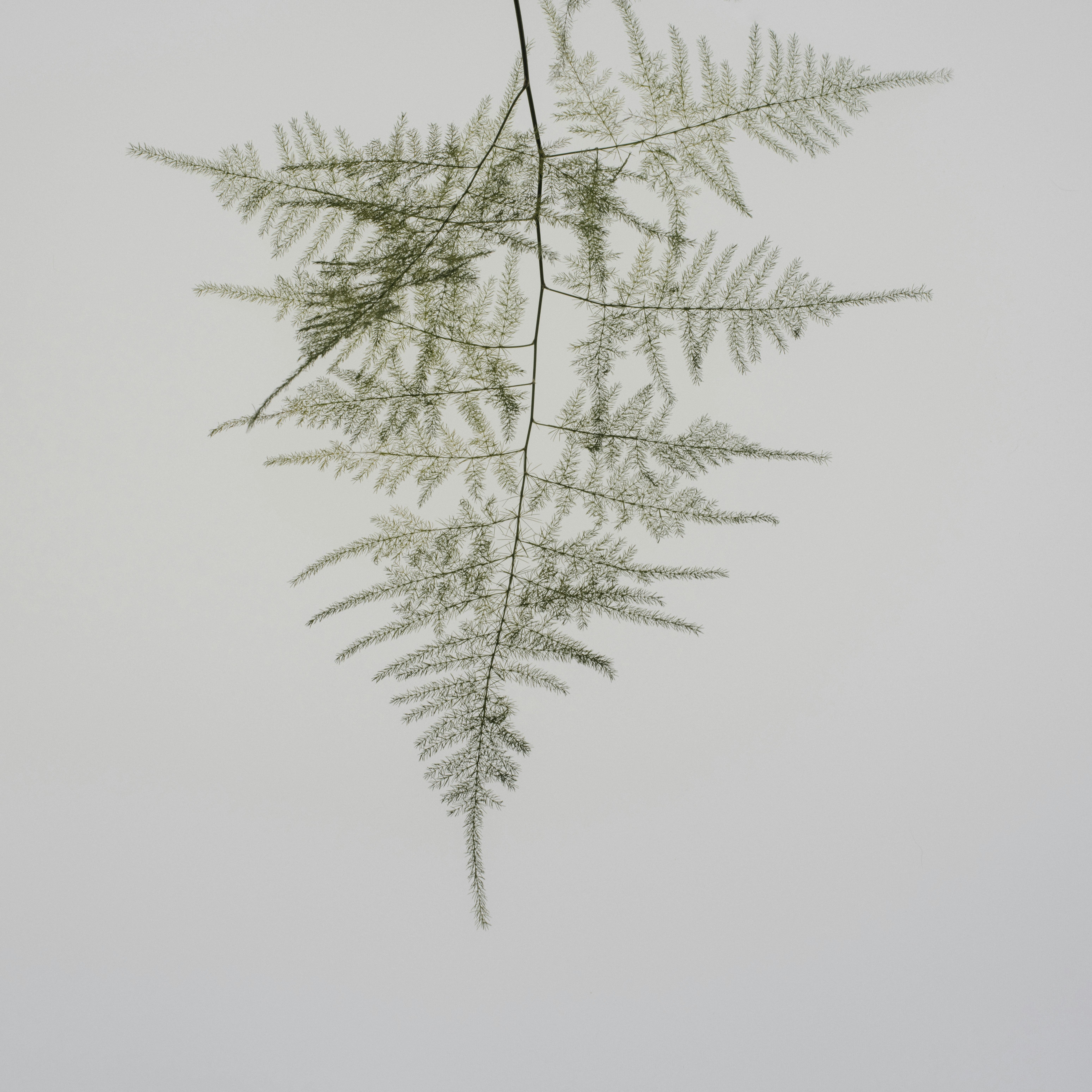 Photo by anniespratt