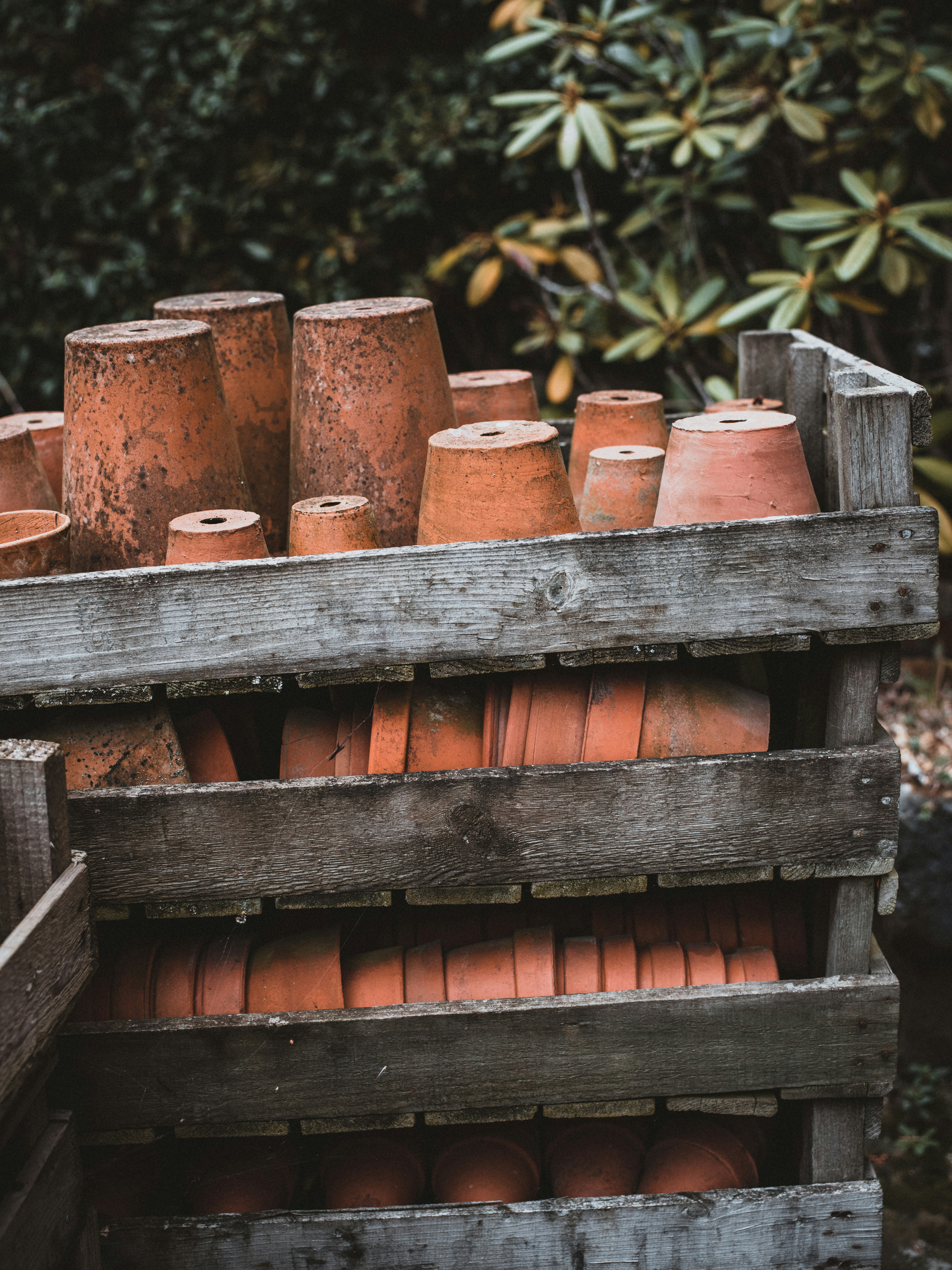 Photo by anniespratt