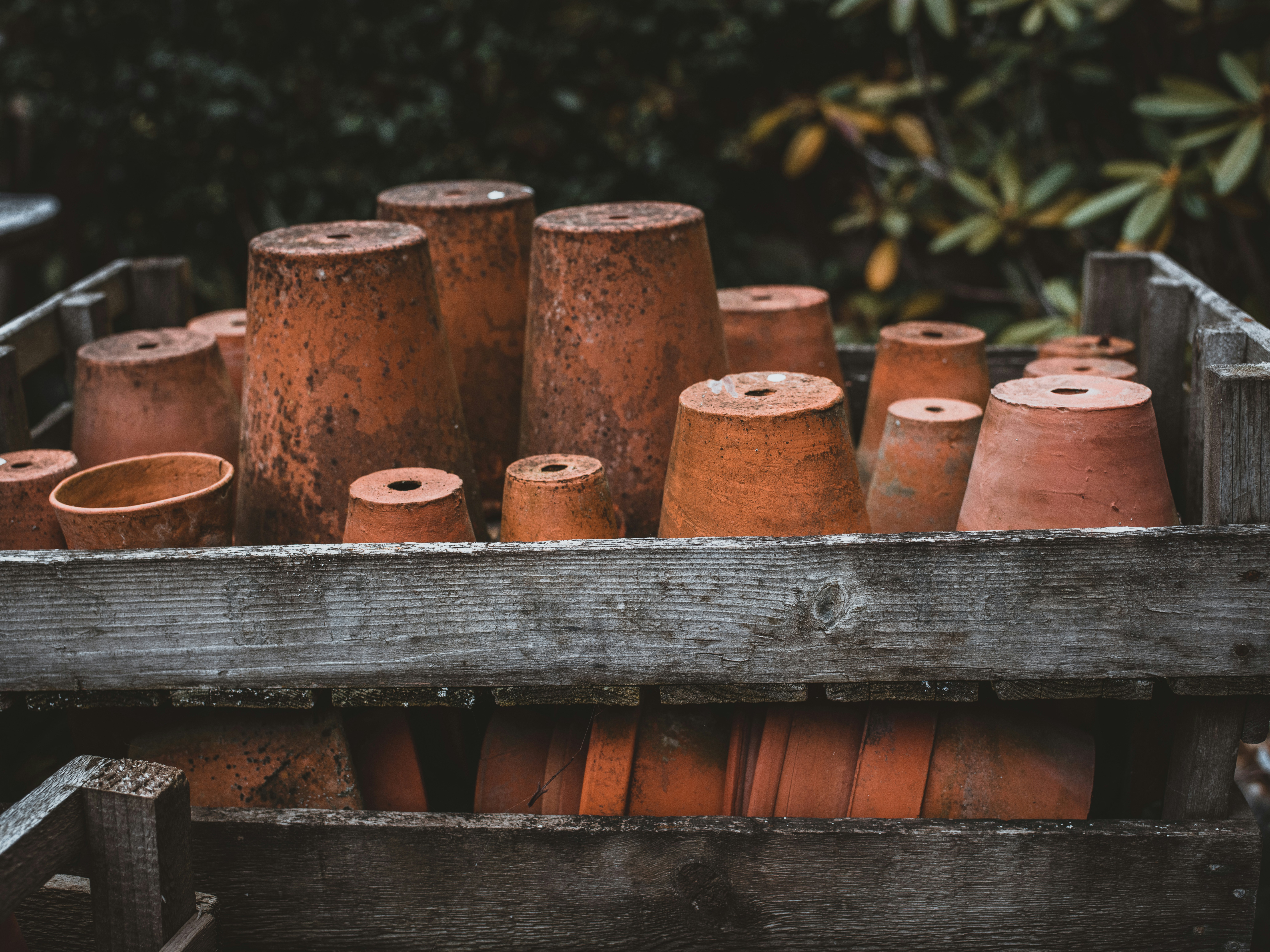 Photo by anniespratt