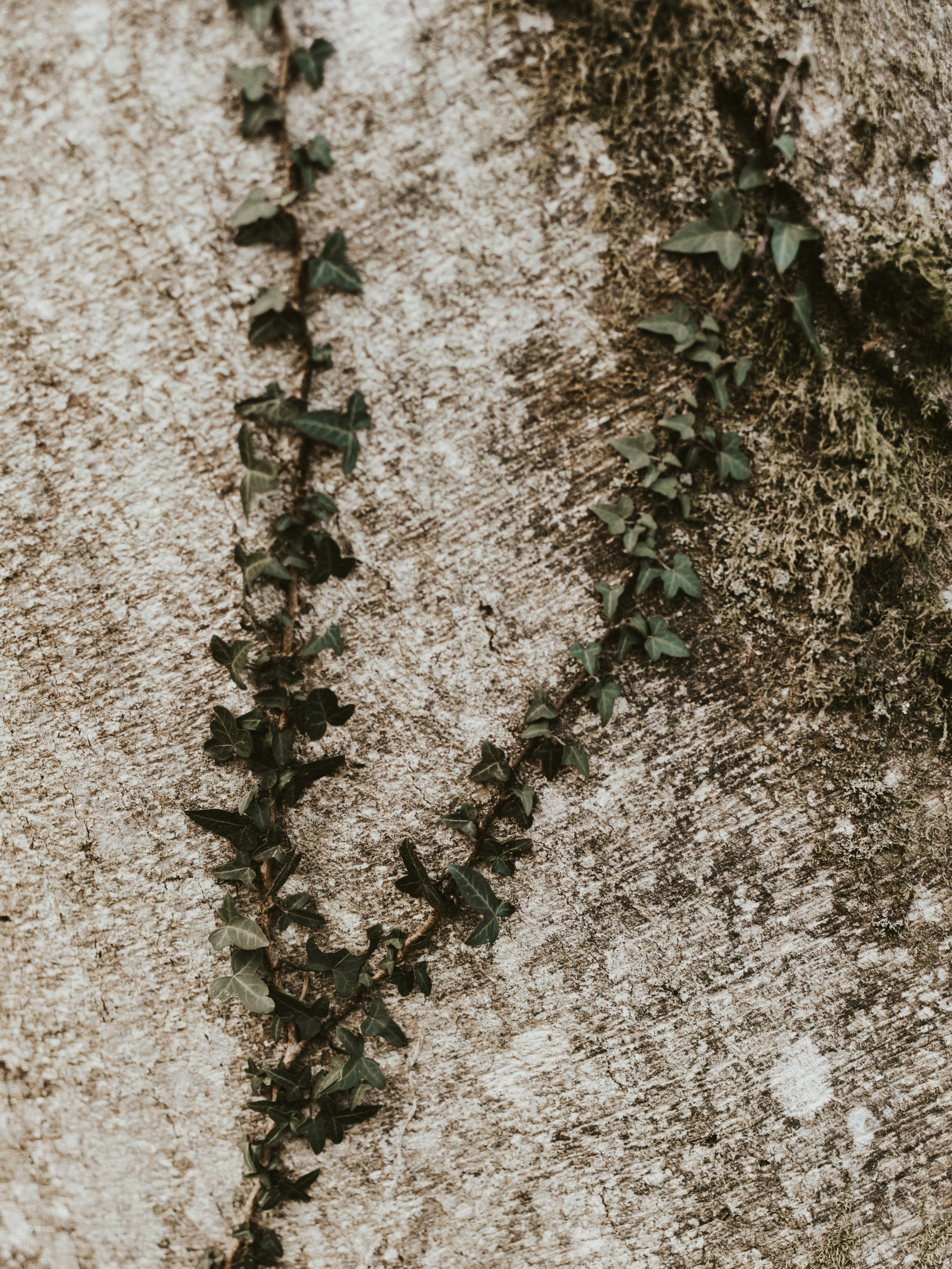 Photo by anniespratt