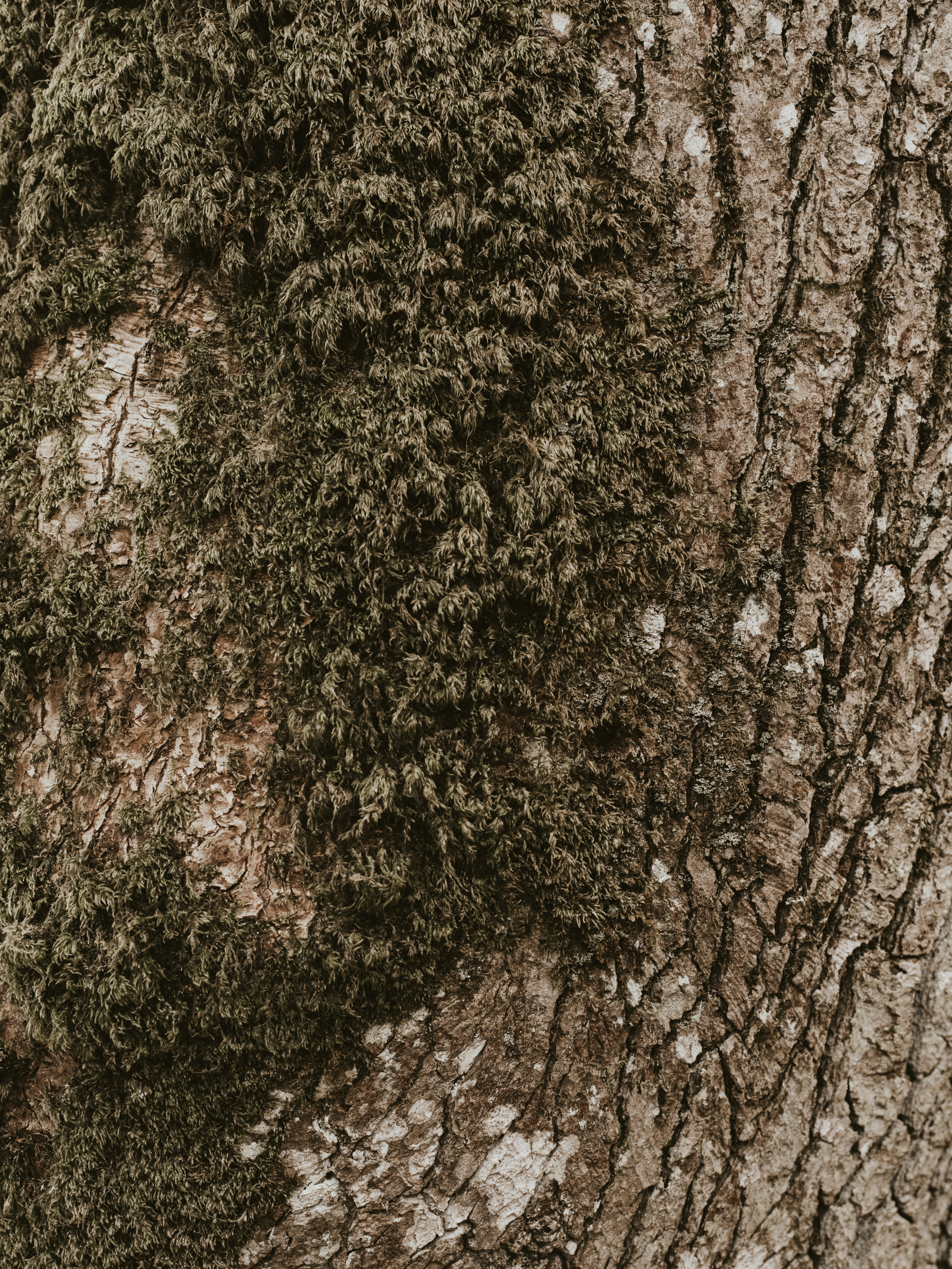 Photo by anniespratt