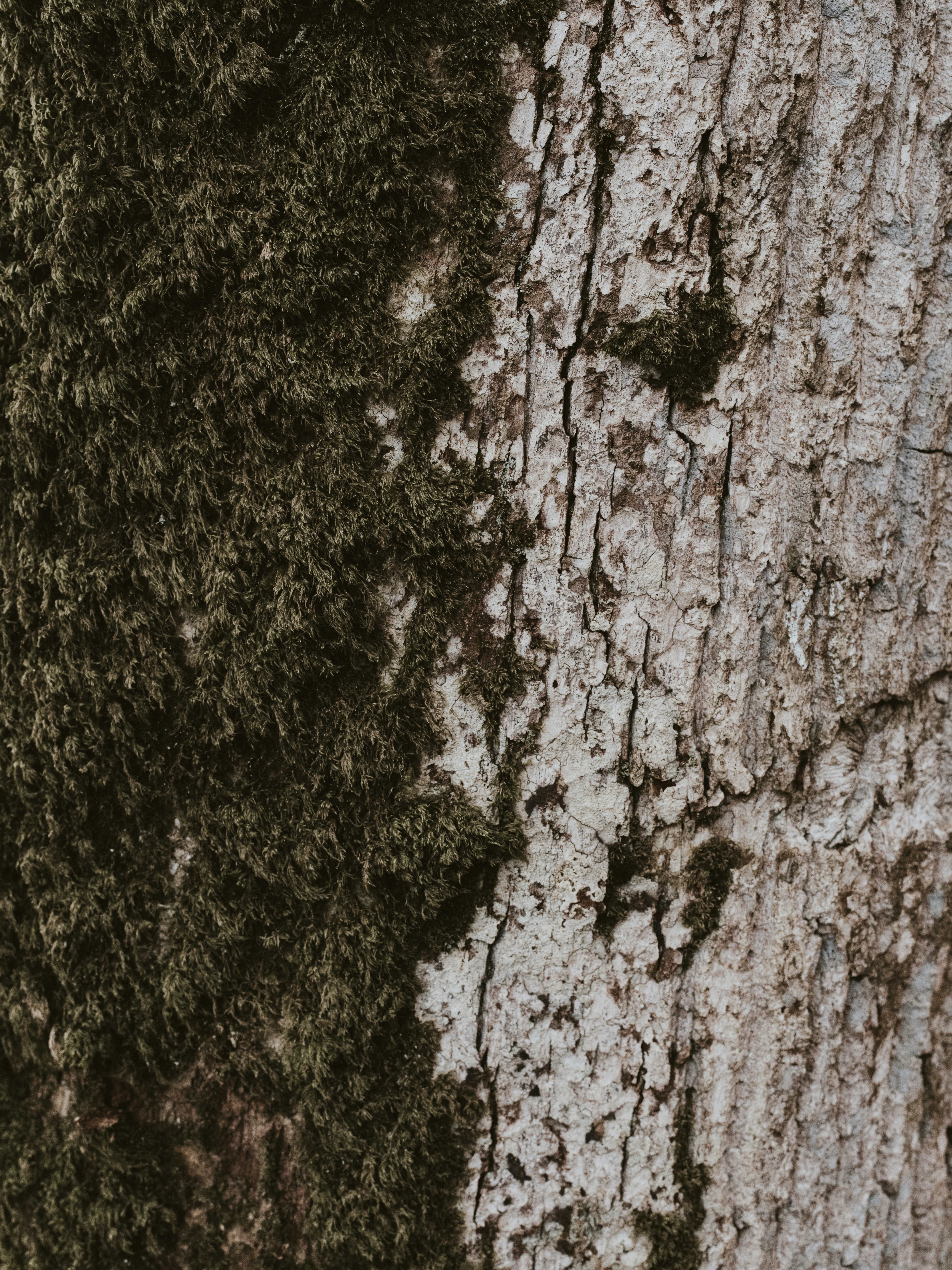 Photo by anniespratt