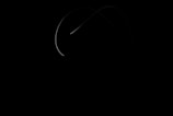 A dark background features two faint, minimalistic curved lines intersecting near the center, creating a simplistic yet elegant design.