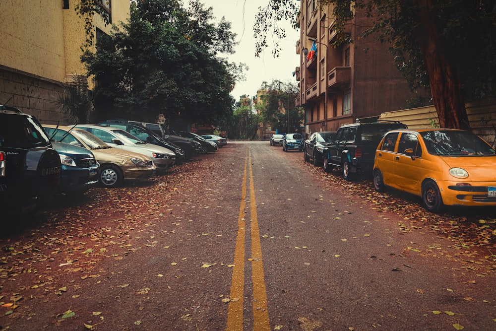 fallen leaves on empty street lined with parked cars on both sides