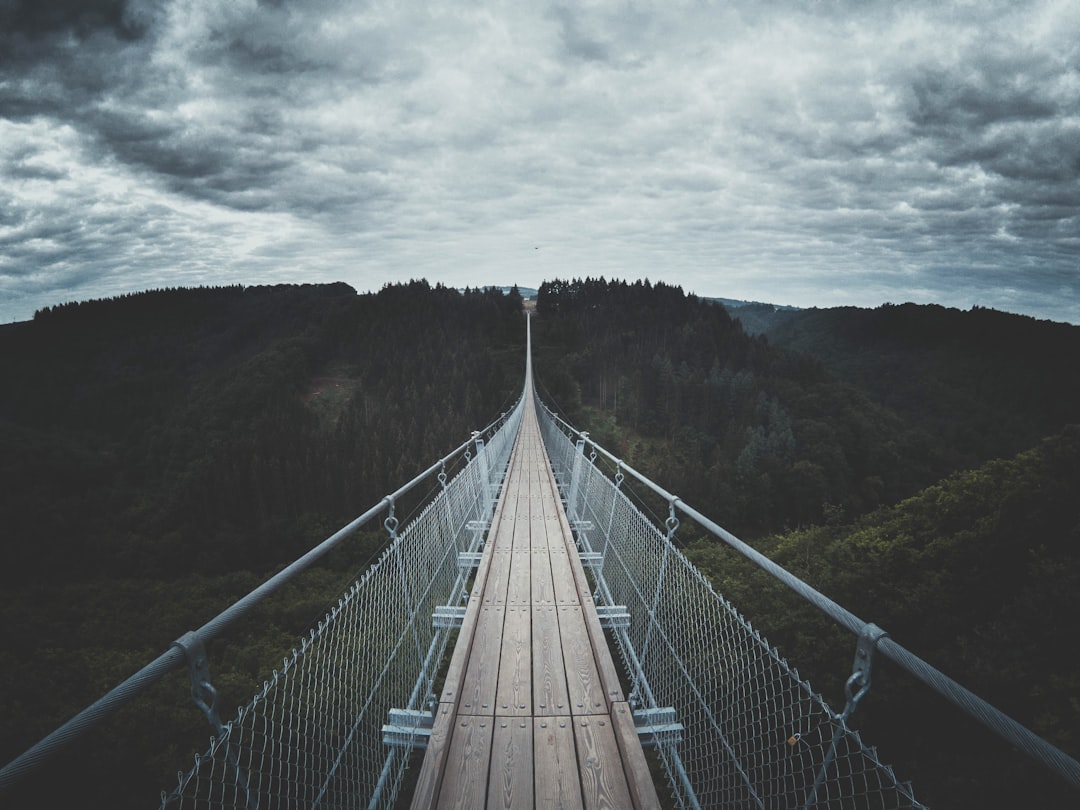 Suspension bridge photo spot Geierlay Suspension Bridge Mühlental 35