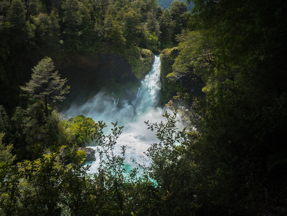 waterfalls raging near forest