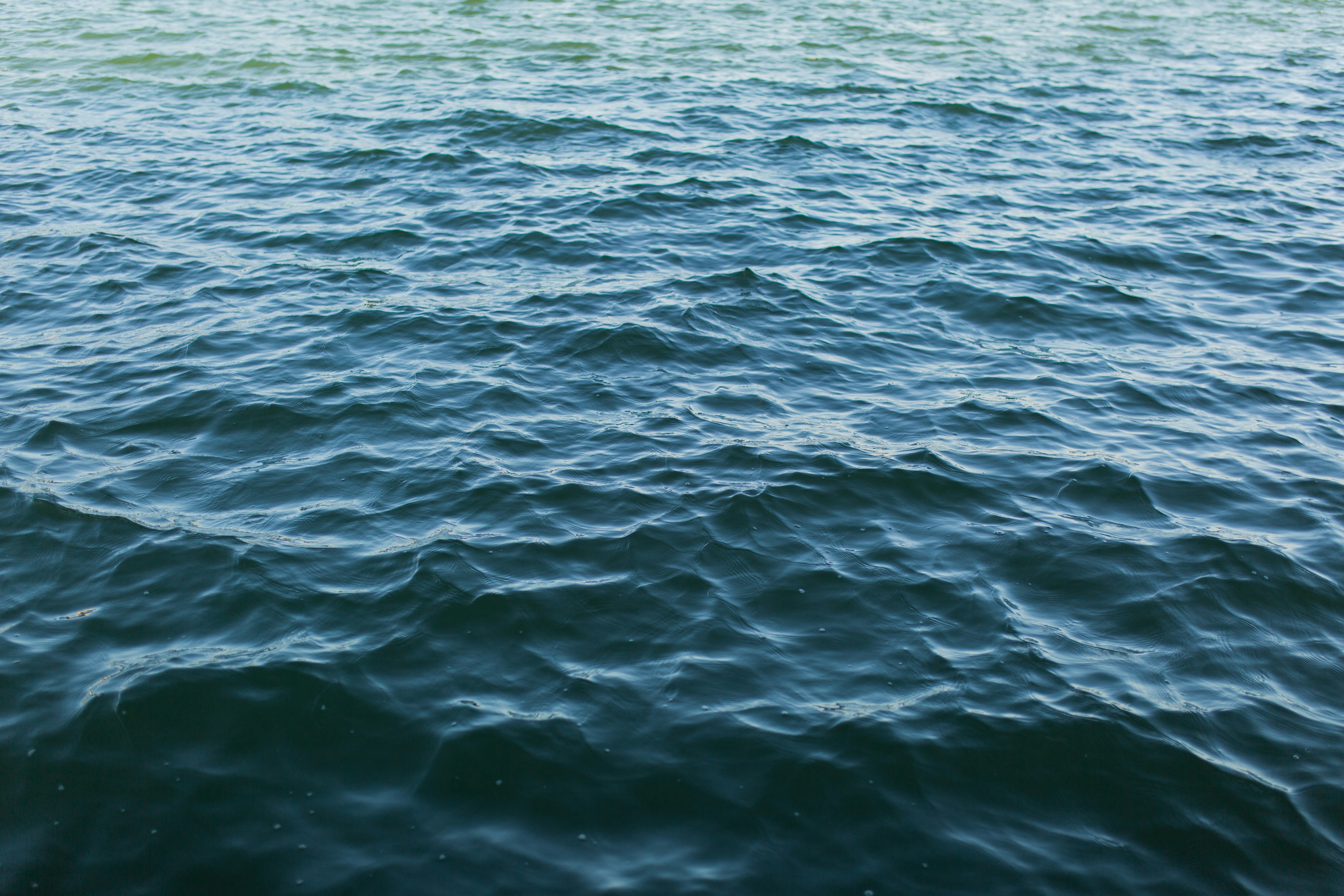 Photo by jasmineornelas