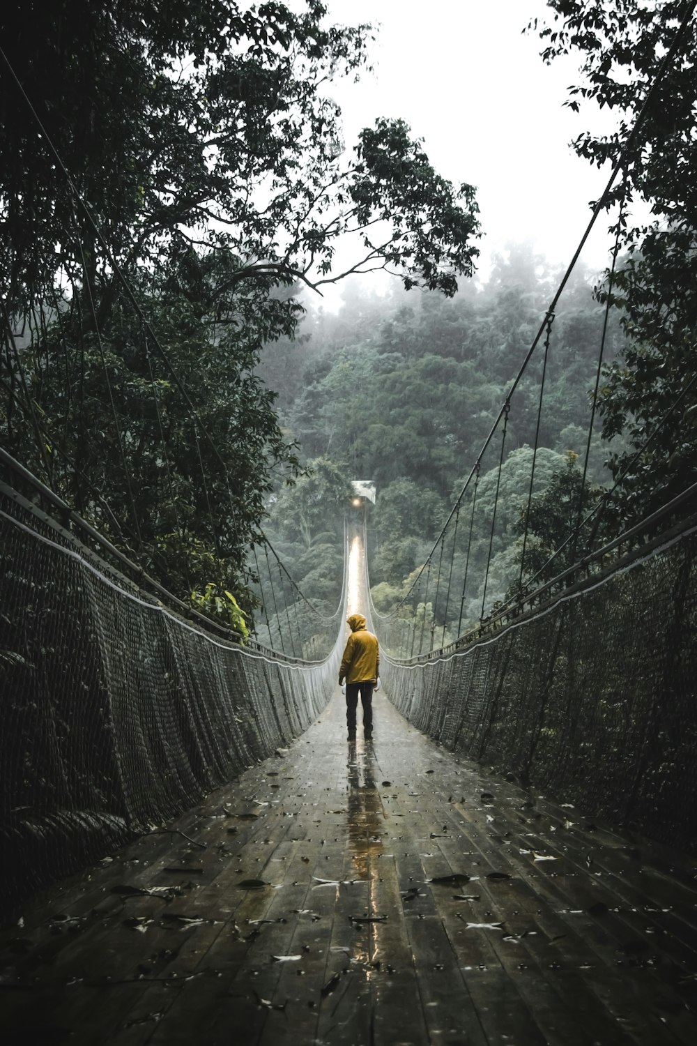 person standing in front of bridge