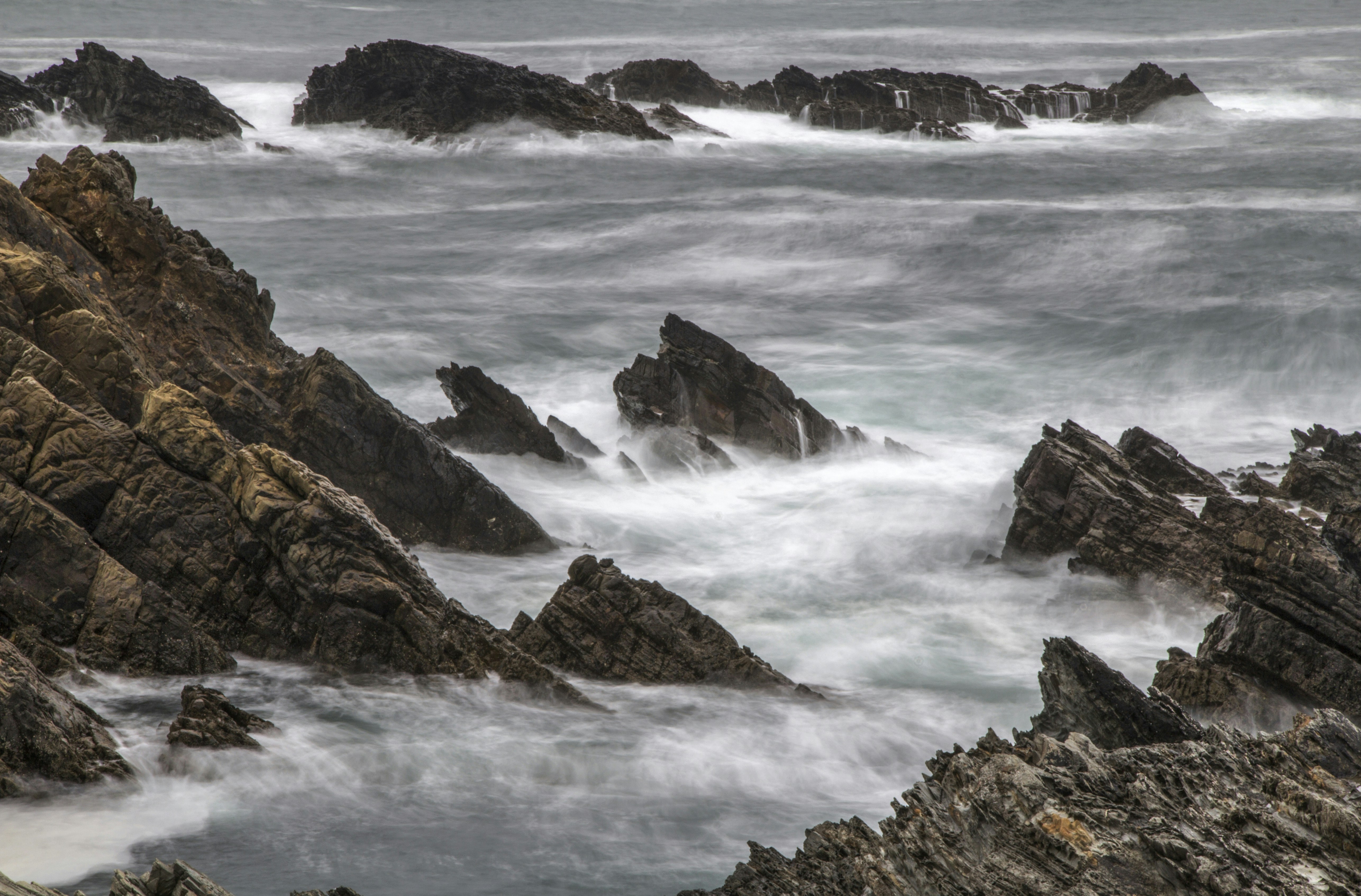 Photo by guillermoalvarez