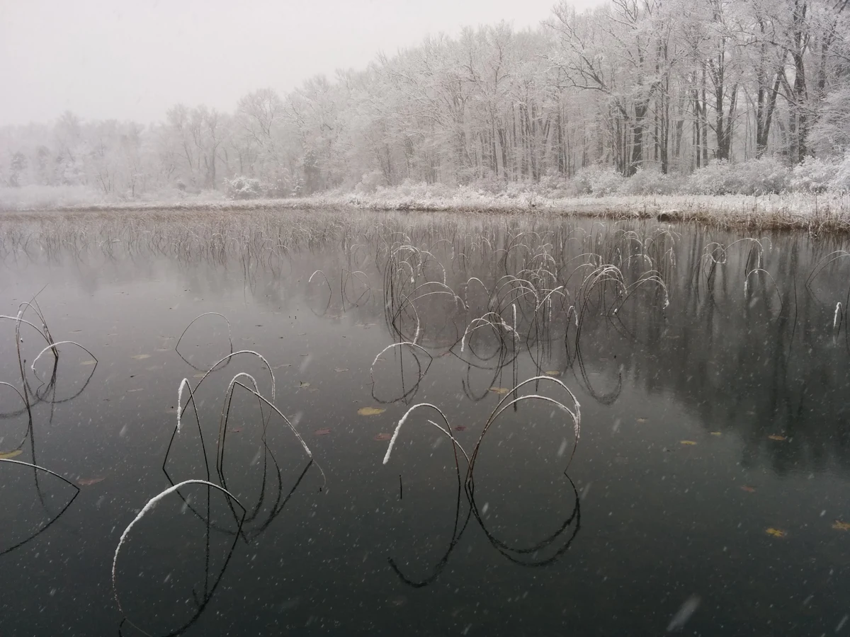 A still lake in the Yankee Springs Recreation Area under fresh snow, with frosted trees on the far shore