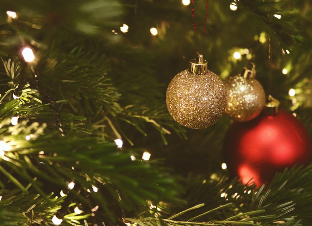 selective focus photo of red and gold baubles