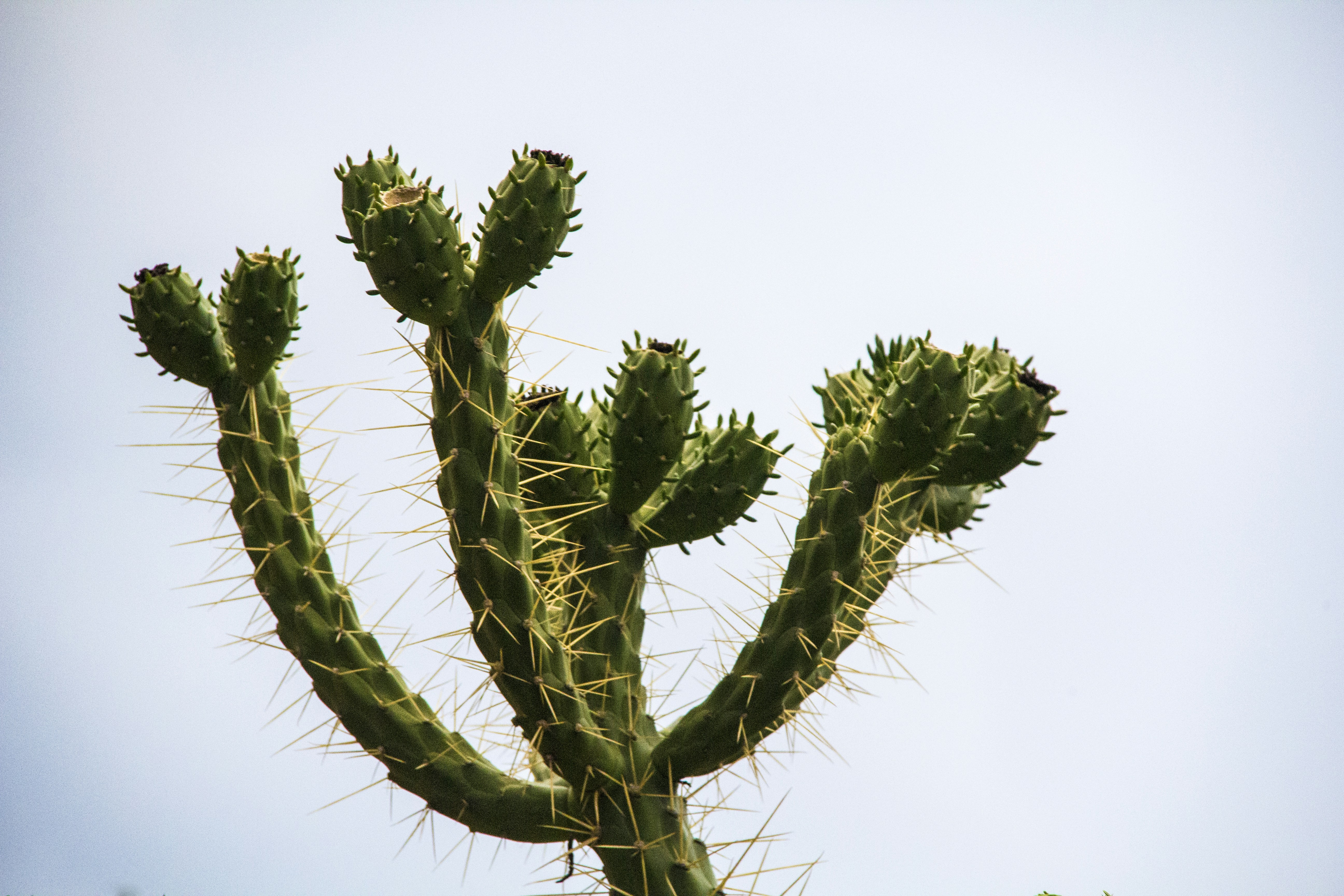 Photo by taylaktictac