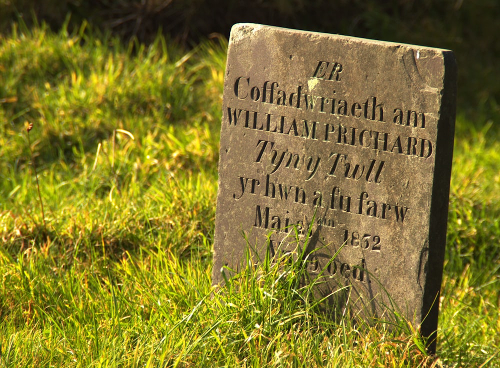 selective focus photo of brown and black tombstone
