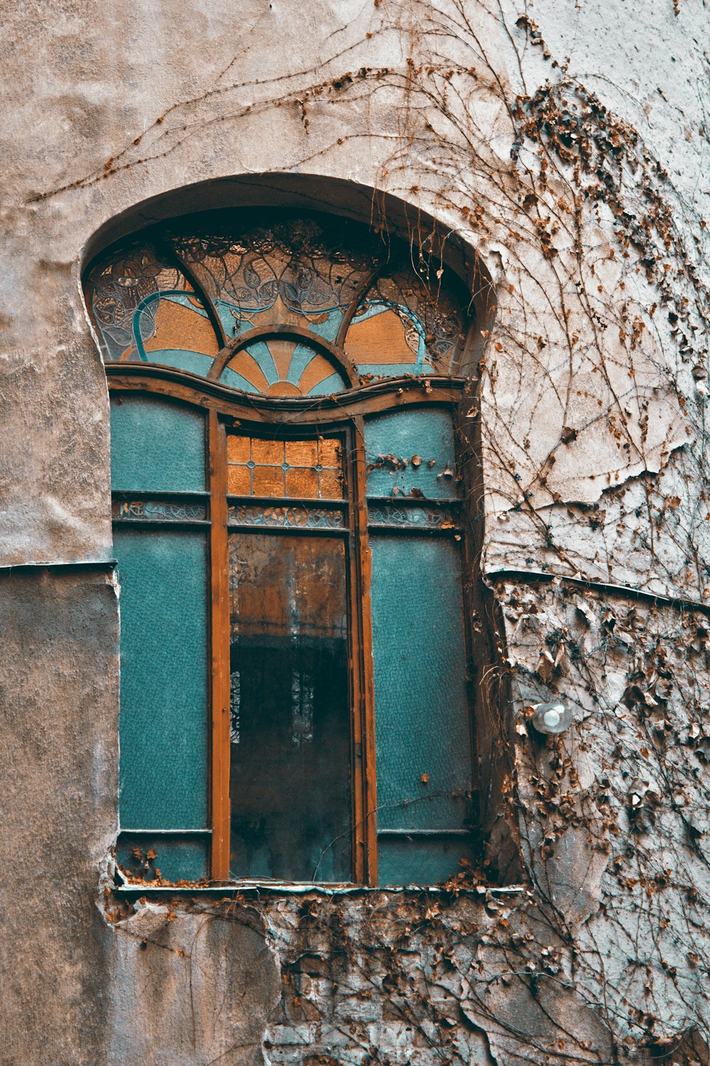 blue metal framed glass window on concrete building