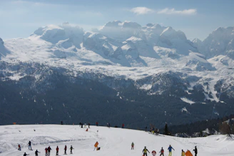 A group of skiers attending an outdoor avalanche safety training session on a snowy mountain slope.