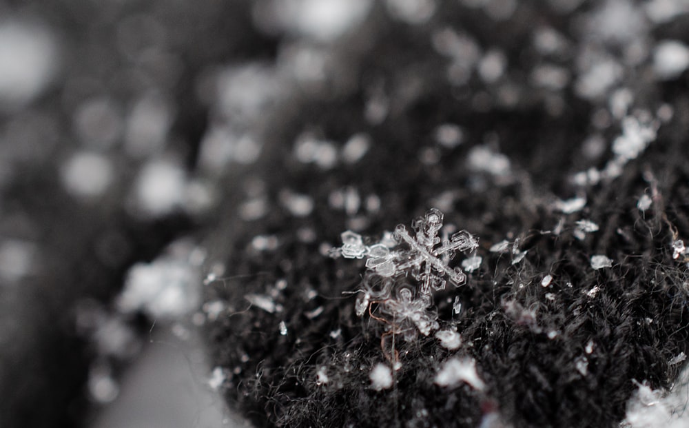 close-up photography of gray textile and snowflakes