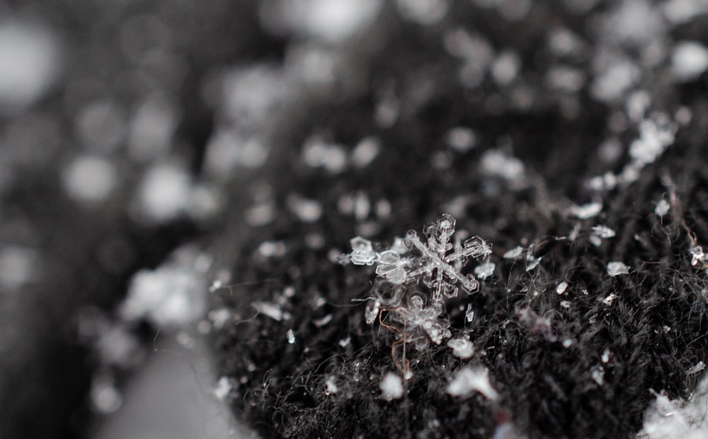 fotografia em close-up de tecido cinza e flocos de neve