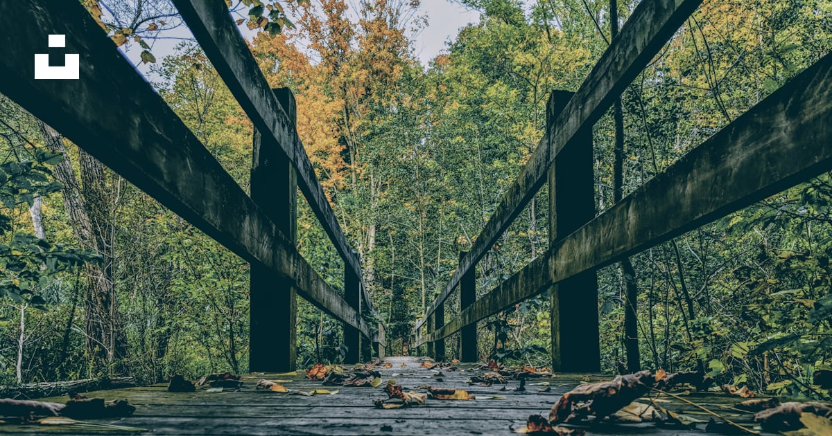 Leere Br cke Foto Kostenloses Bild Zum Thema Kanada Auf Unsplash leere-br-cke-foto-kostenloses-bild-zum-thema-kanada-auf-unsplash