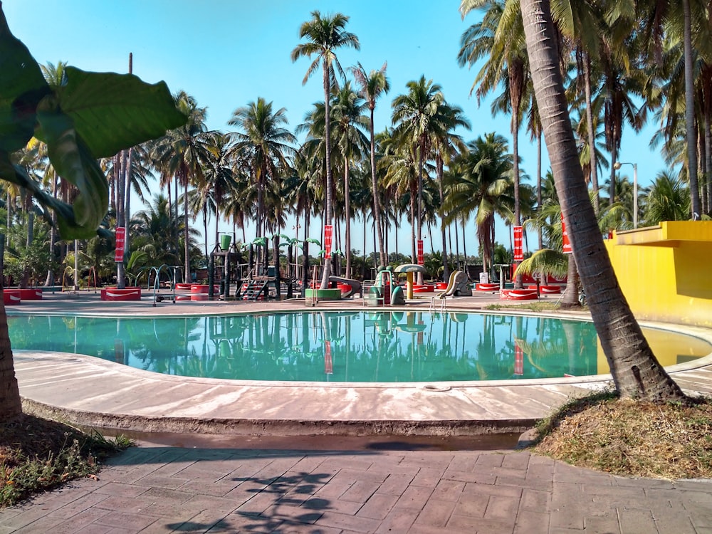 empty seats near pool and coconut trees