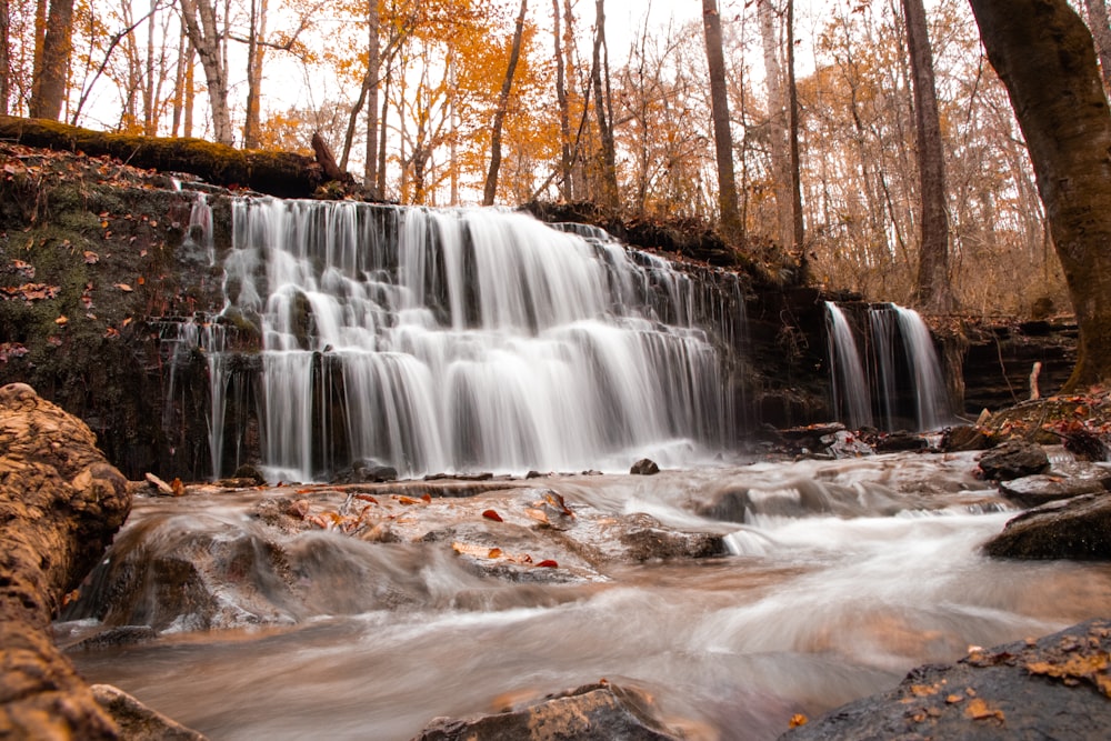 waterfalls surrounded by brown trees