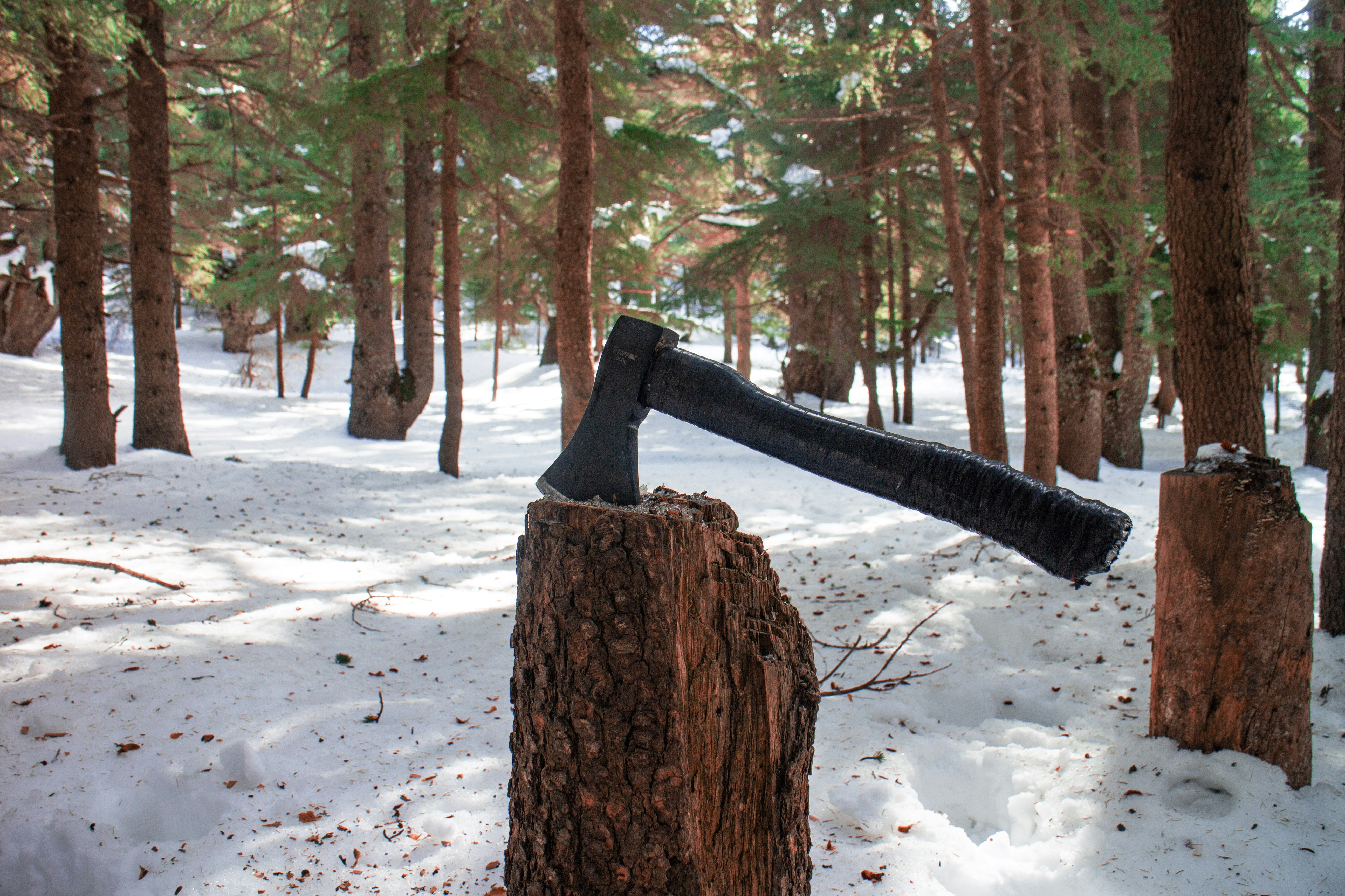 photo 1547848114 a1fb7c59b1ad?ixlib=rb 4.0