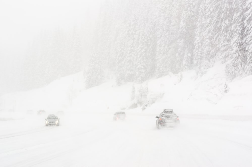 Fahrzeug auf Fahrbahn in der Nähe von schneebedeckten Bäumen