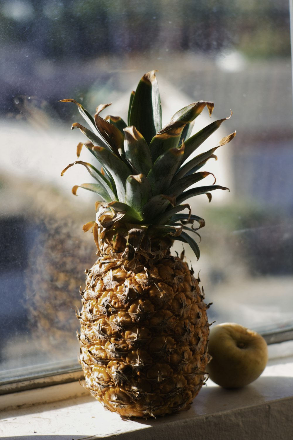 pineapple fruit beside apple fruit