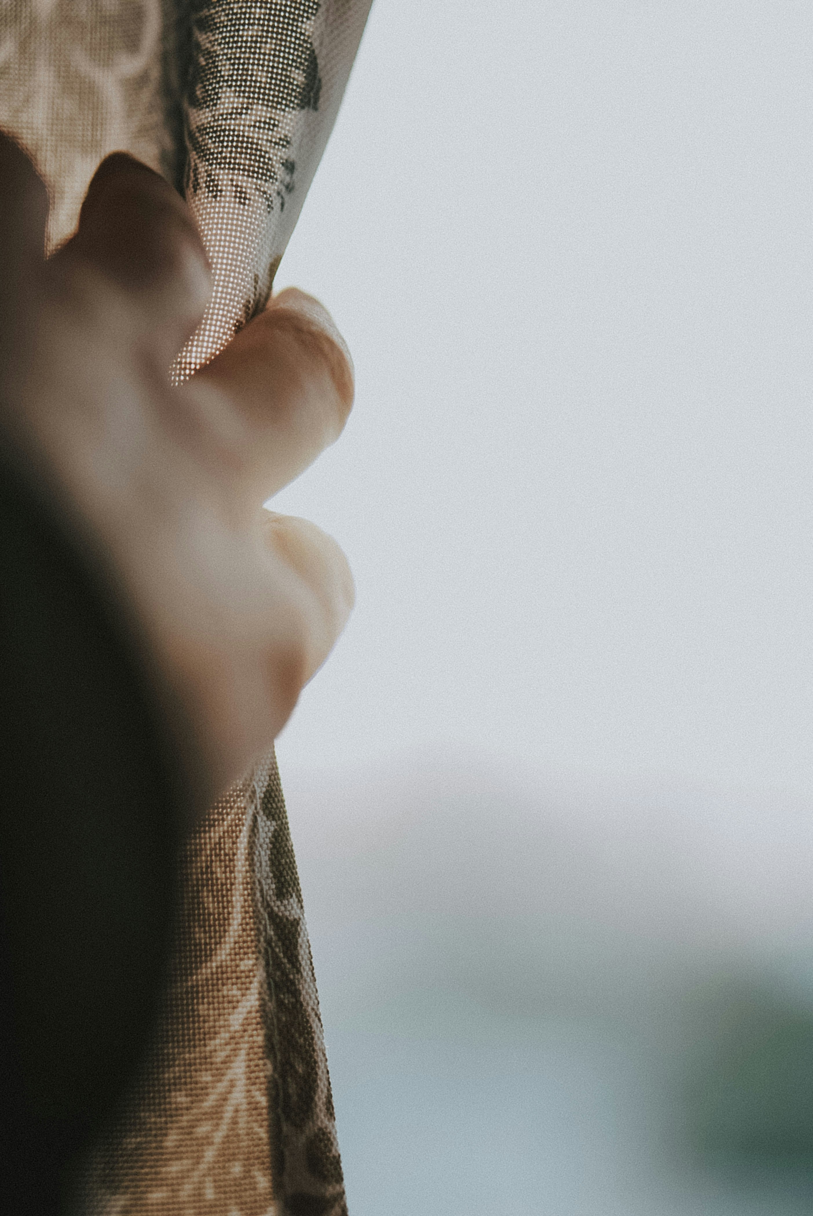 Photo by hanreinphoto