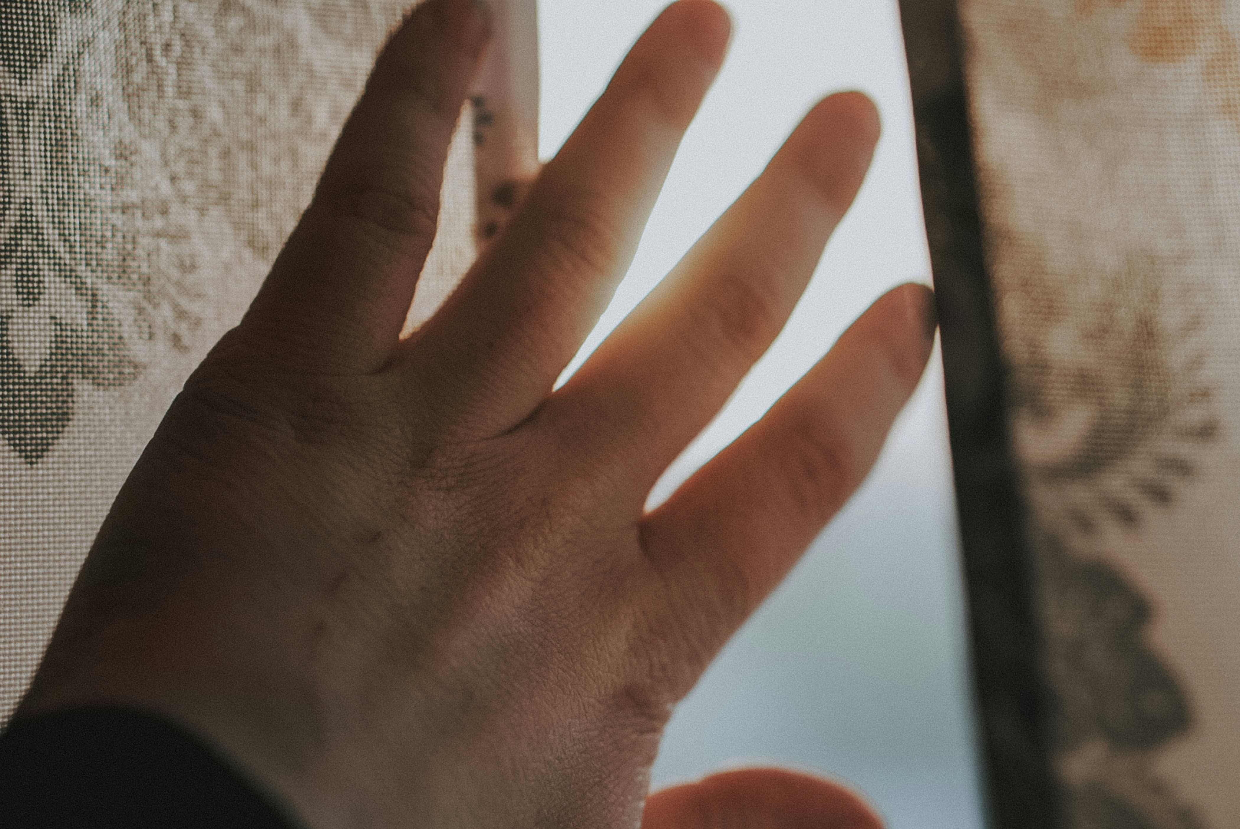 Photo by hanreinphoto