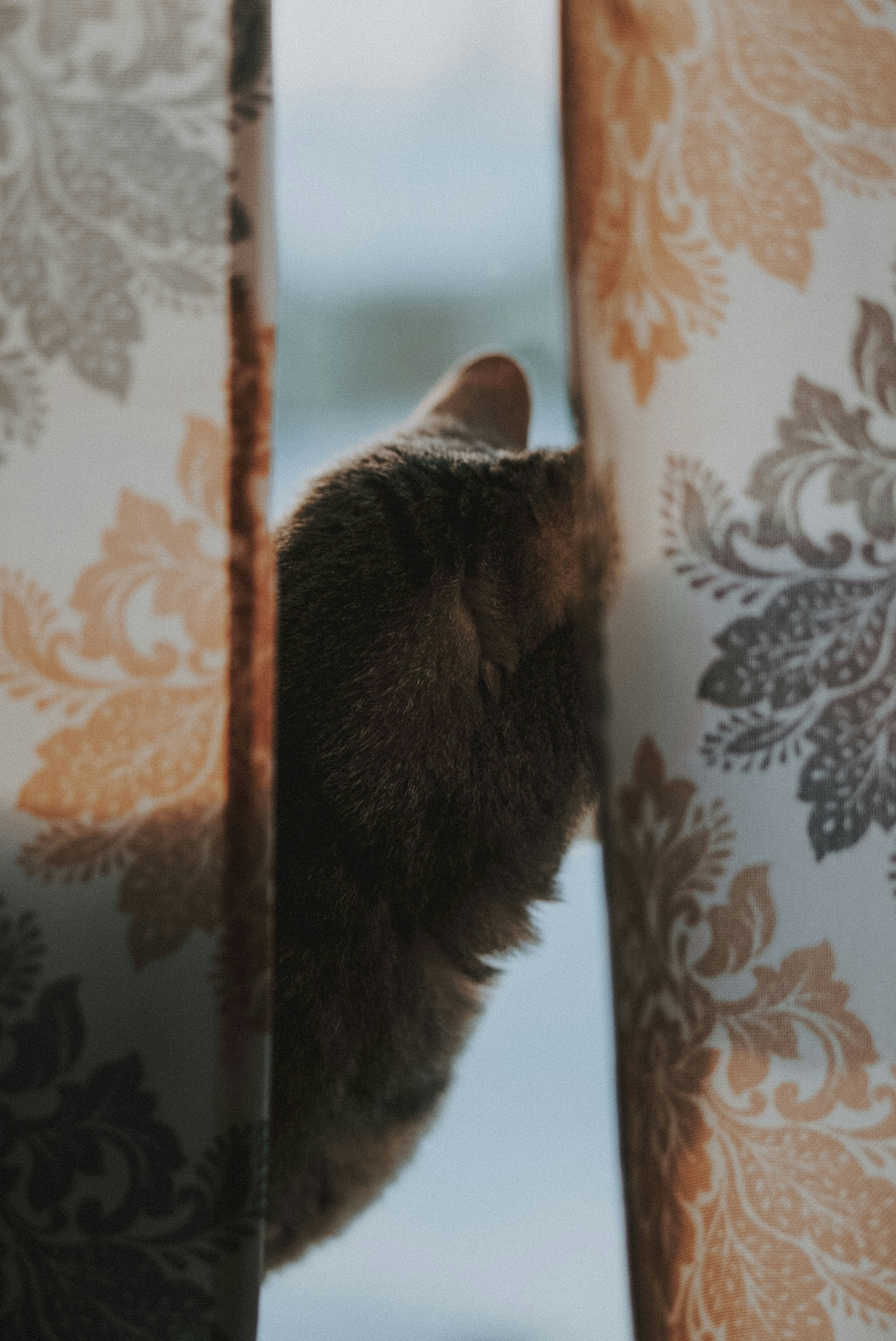 Photo by hanreinphoto