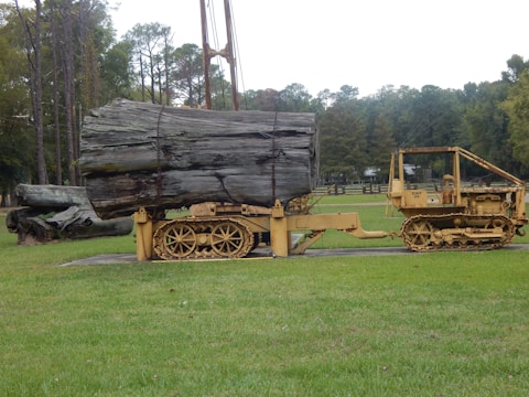 A large piece of timber is secured on a vintage yellow caterpillar tractor in a grassy field. The surrounding area features tall trees, a fence, and a rural landscape.