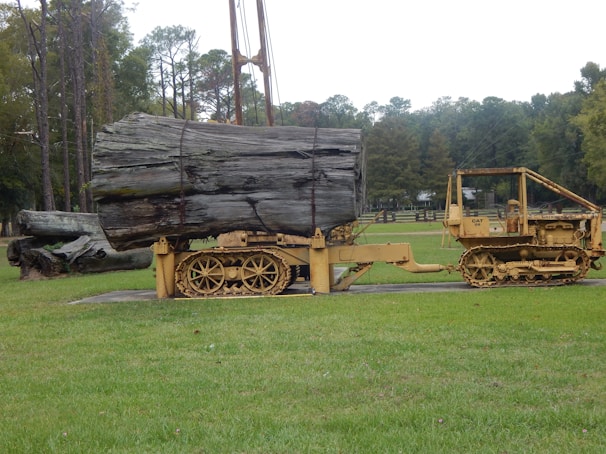 Brush clearing along a rural fence line with skid loader at work