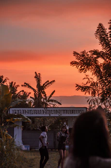 Participants enjoying a sunset workshop outdoors surrounded by lush greenery.