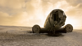 A wrecked airplane sits abandoned on a desolate, snow-covered landscape under an expansive, cloudy sky. The aircraft's fuselage is heavily weathered, with visible signs of rust and decay. The scene is lit by a soft, diffused light from the overcast sky, creating a somber and eerie atmosphere.