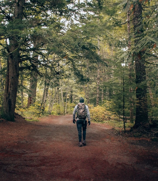 Brandywine Falls Provincial Park things to do in Squamish River