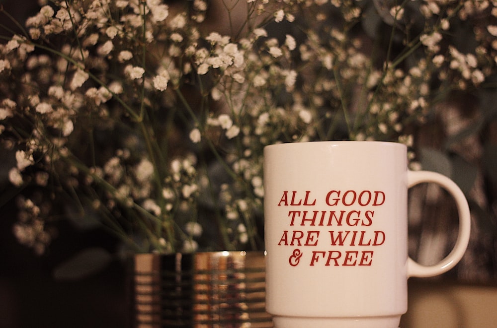white all good things are wild & free-printed mug