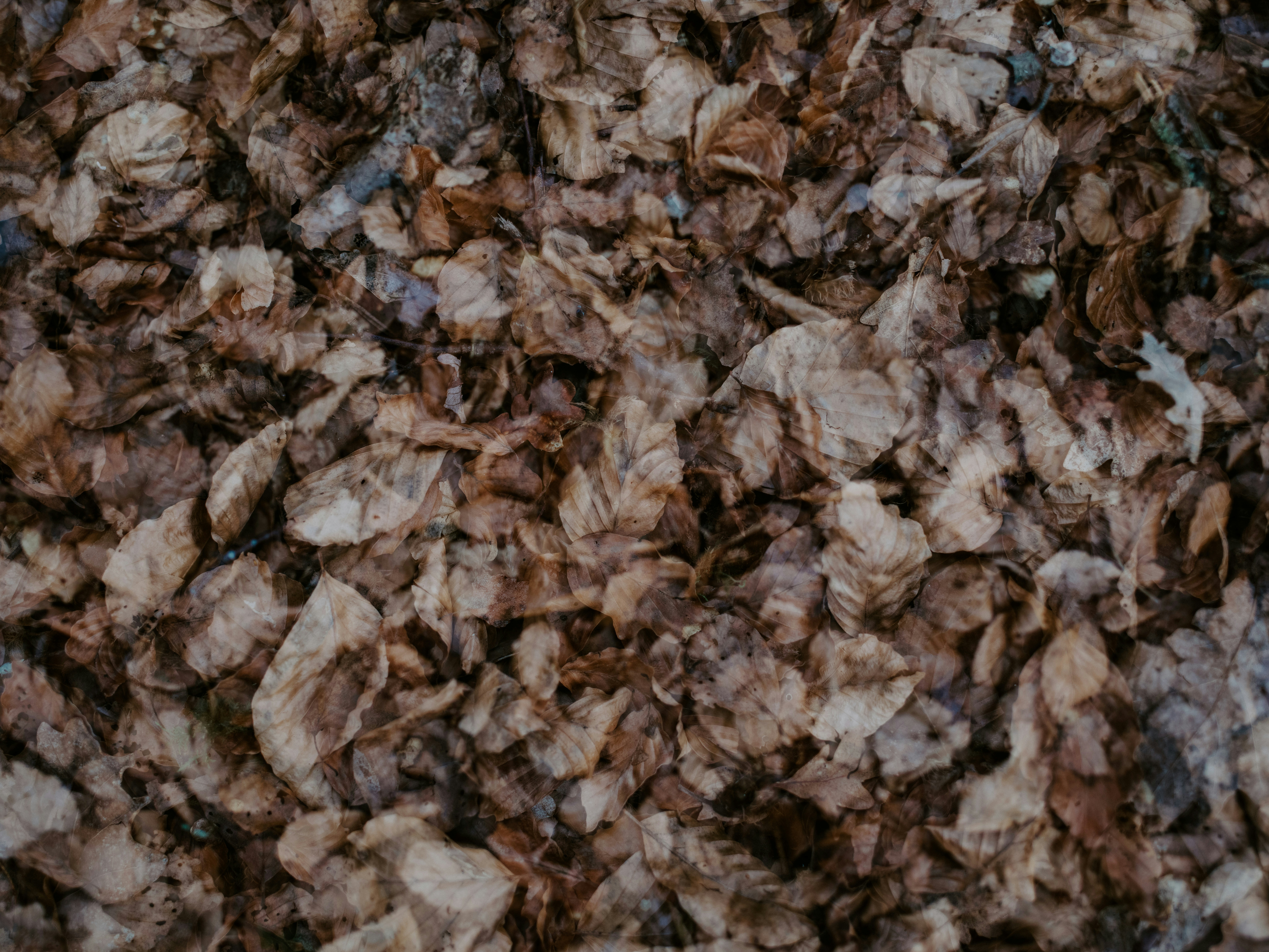 Photo by anniespratt