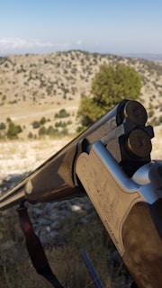 A detailed view of a shotgun with intricate engravings, with two bullets in the barrel. The gun is positioned against a backdrop of a rocky, arid landscape with sparse vegetation and rolling hills under a clear blue sky.