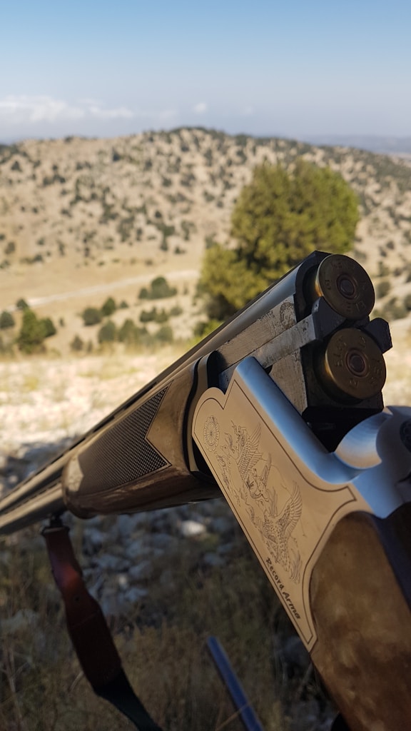 Classic Sporting Shotgun