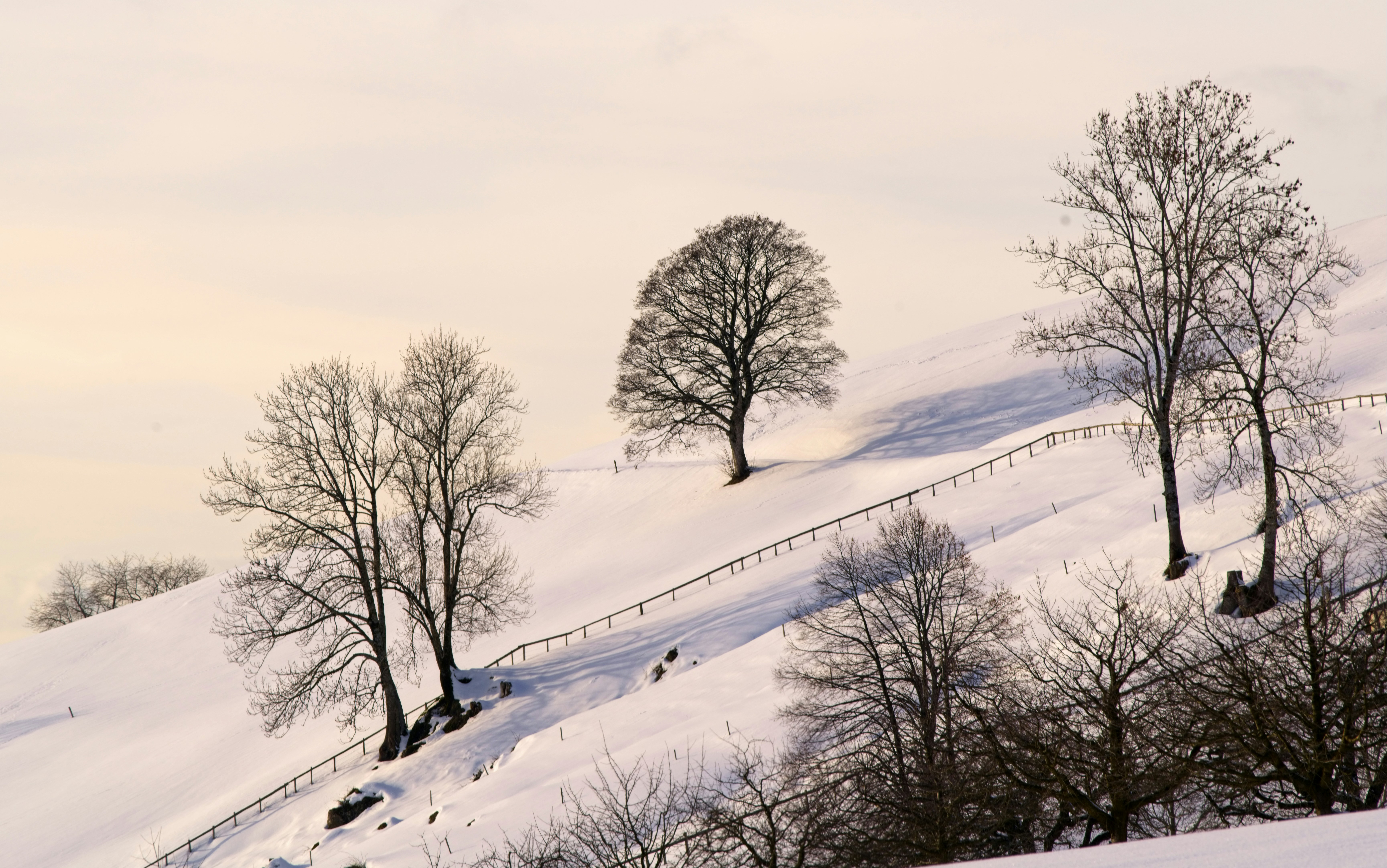 Photo by rgaleriacom