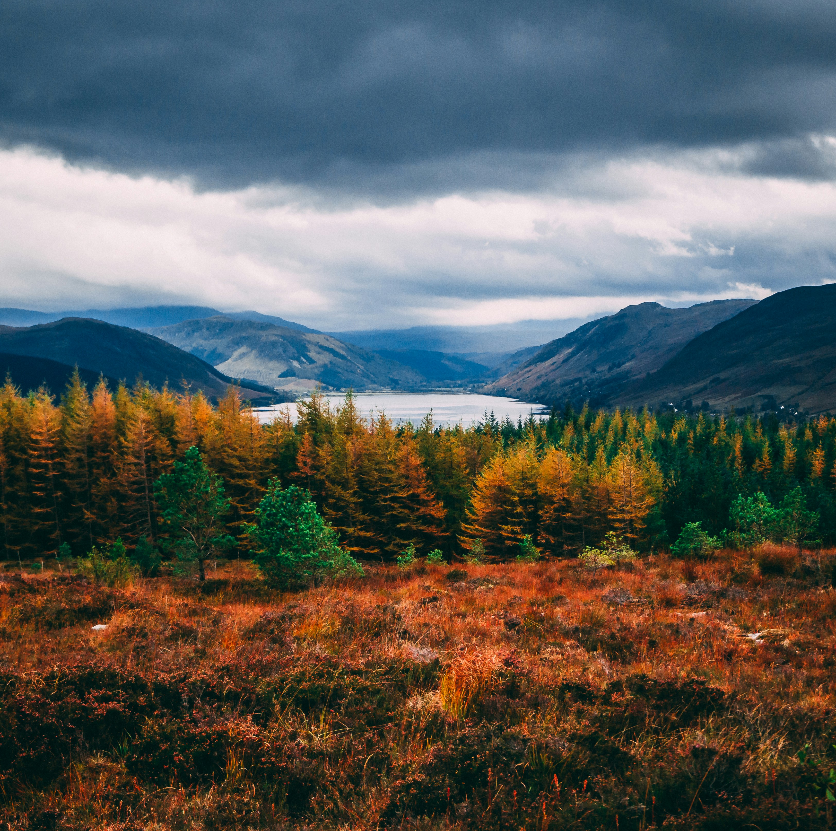 Photo by kieranosborn