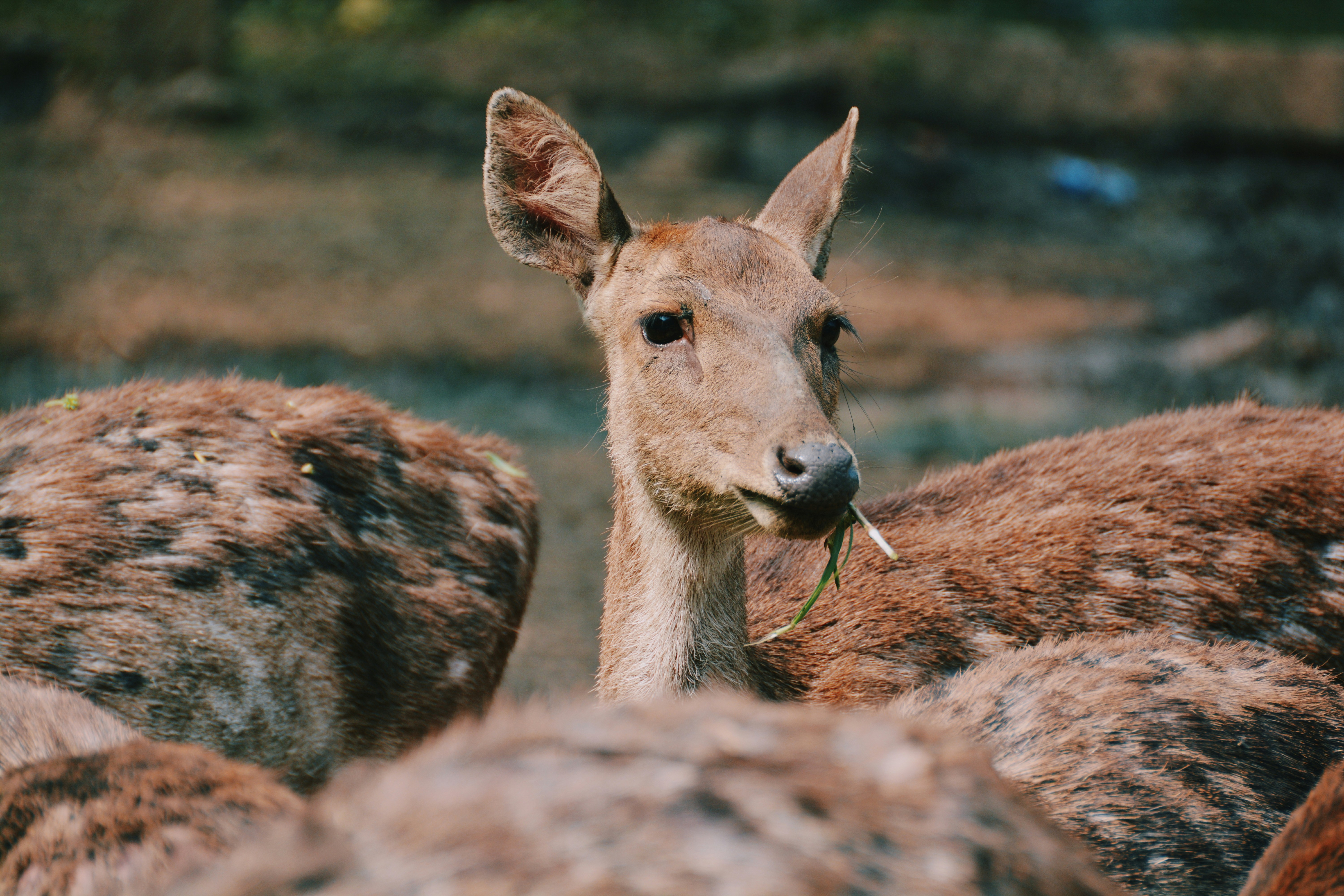 Photo by mazayasdfghjkl