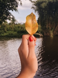 A hand with red-painted nails holds an autumn leaf against a background of a river and lush green trees.