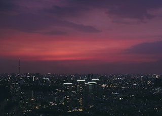 cityscape under purple sky