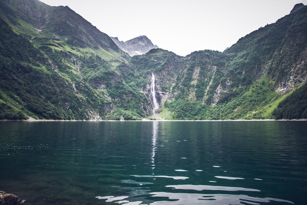 mountain covered by trees near lake