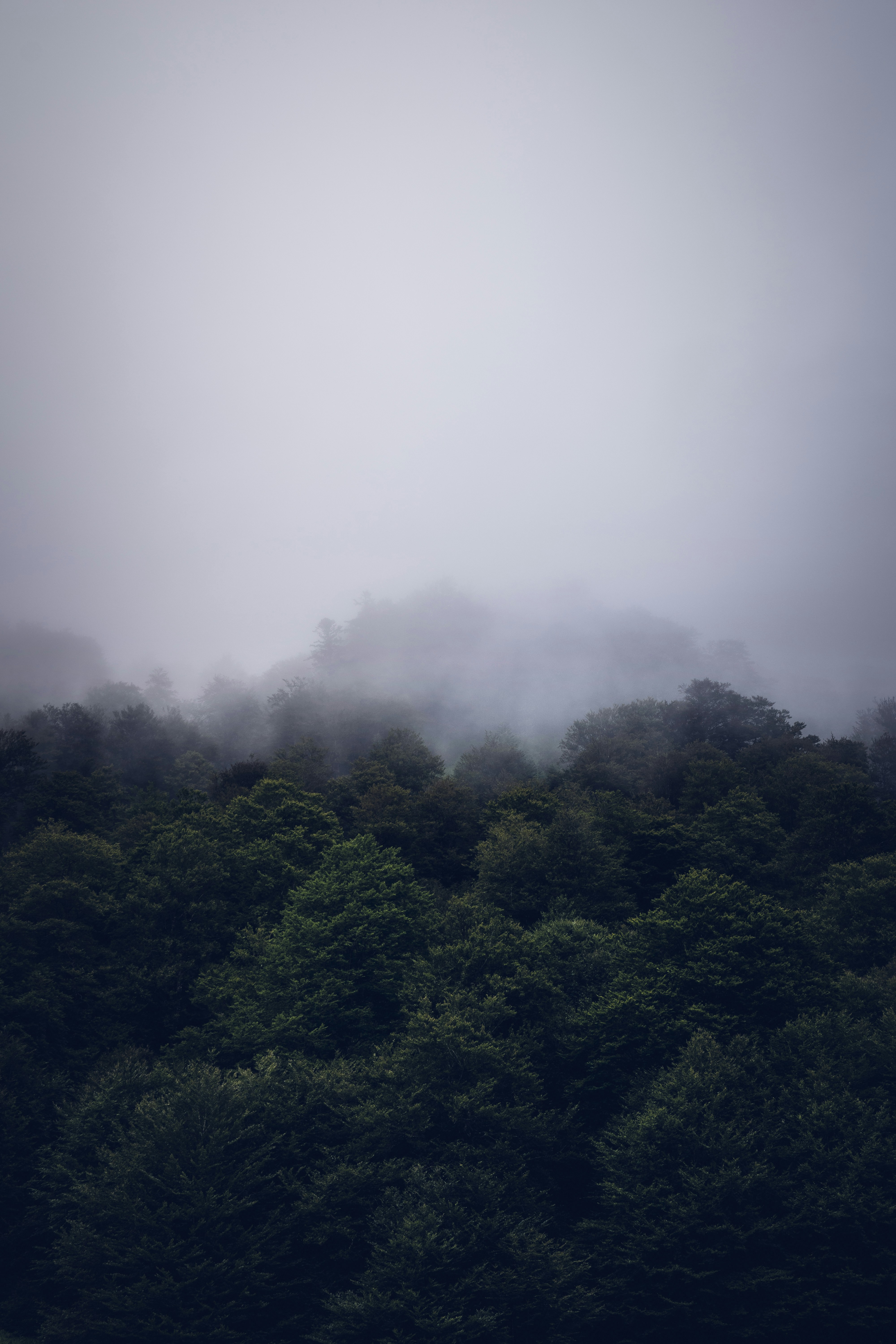 Photo by pablothewarrior